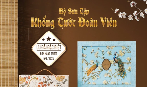 câu chuyện